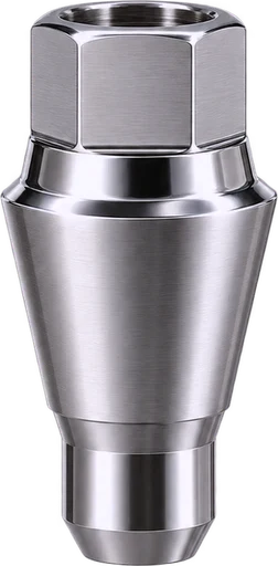 Titanium implant abutment (illustrative render)